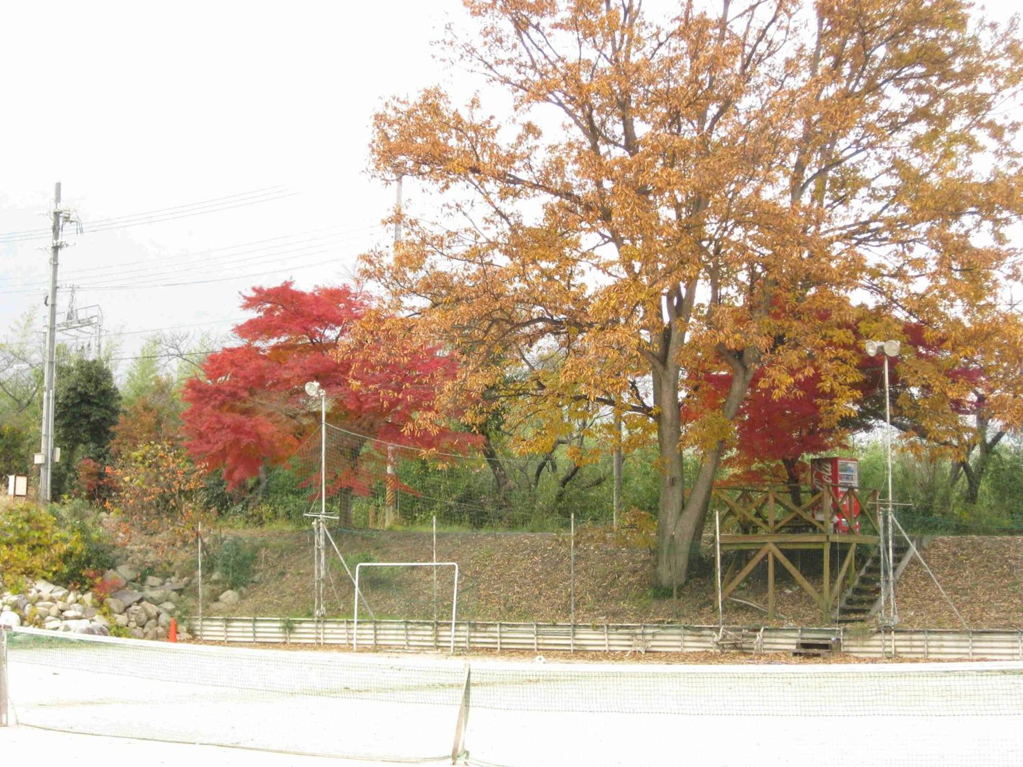 Holiday Afternoon Ōtsu Exterior foto